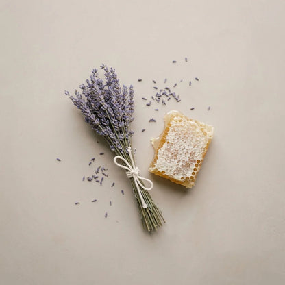 Lavendel